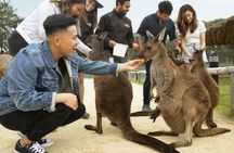 Blue Mountain tour with Scenic World, Waterfalls and Zoo