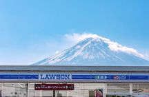 Guided Photo Tour Around Mount Fuji with Traditional Tea Ceremony