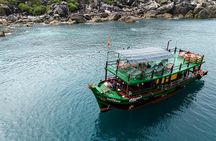 Cham Island Snorkelling Tour