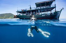 Cham Island Snorkelling Tour