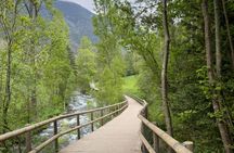 Guided excursion E-Bike Wednesday Anyos Park - Iron Route