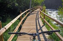 Guided excursion E-Bike on Thursday Anyos Park - Sispony