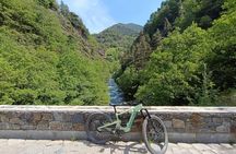 Guided excursion E-Bike on Thursday Anyos Park - Sispony