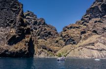 Two-hour Royal Delfín whale-watching cruise in Tenerife