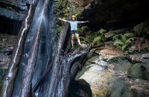 Abseiling and canyoning adventure at Juggler Canyon in Blue Mountains
