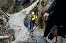 Abseiling and canyoning adventure at Juggler Canyon in Blue Mountains
