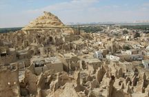 Overnight Experience of Siwa Oasis with the Salt Lakes from Cairo