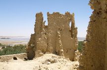 Overnight Experience of Siwa Oasis with the Salt Lakes from Cairo