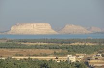 Overnight Experience of Siwa Oasis with the Salt Lakes from Cairo