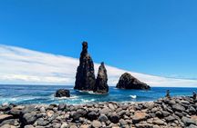 Madeira's North Side express private tour