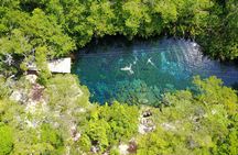 Cenotes and Swimming with Turtles Private Tour