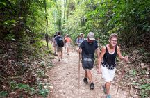 Khao Sok Jungle Expedition with Bamboo Rafting and Thai Dinner