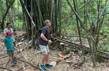 Khao Sok Jungle Expedition with Bamboo Rafting and Thai Dinner