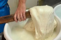 Visit to Masseria Cappella with Mozzarella and Bread Making Workshop