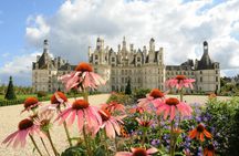 Private Day Trip to Loire Valley with Tastings and Lunch