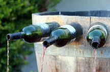 Private Day Trip to Loire Valley with Tastings and Lunch