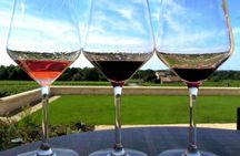 Private Day Trip to Loire Valley with Tastings and Lunch
