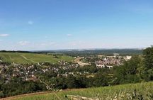 Private Day Trip to Loire Valley with Tastings and Lunch