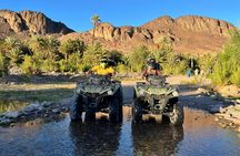 Quad Adventure with Taghazout and Berber Farm Visit