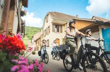 Private Bike Tour on the Alsatian Wine Road