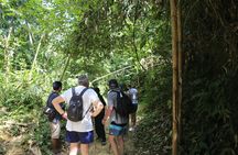 Full-Day Expedition to Cheow Larn Lake with Boat Cruise and Trekking