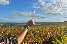 Wine Day Trip to Sancerre from Paris with Tastings and Lunch