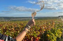 Sancerre Private Wine Day Tour from Paris with Tastings and Lunch