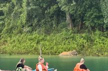 Full-Day Cheow Lan Lake Tour from Khao Lak with Kayaking and Lunch