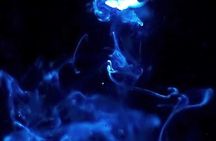 Bioluminescent Night Dive