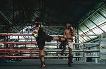 Introductory Group Muay Thai Boxing Lesson for Beginners in Pattaya