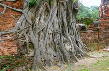Private Longtail Tour in Ayutthaya from Pattaya