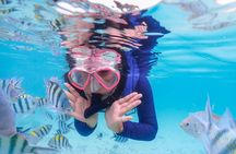Private Samae San Speedboat Fishing Tour and Barbecue from Pattaya