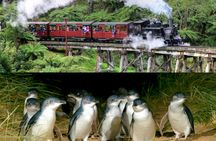 Puffing Billy and Phillip Island Penguin Parade Bus Tour