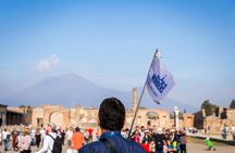 From Rome: Pompeii and Mt. Vesuvius Volcano day trip with authentic Neapolitan pizza lunch