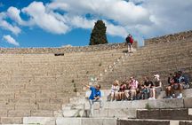 From Rome: Pompeii and Mt. Vesuvius Volcano day trip with authentic Neapolitan pizza lunch