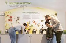Tuscan Oil Museum and Mill Interactive Tour with Tasting