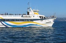 Boat Round Trip from Calpe to Altea with Multiple Times