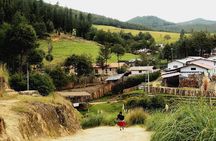 Guided tour to Porcon Farm