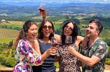 Tuscan Wine Tour with Two Wineries and San Gimignano From Rome