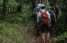 Mauritius Nature Eco-Tour with Ebony Forest Visit
