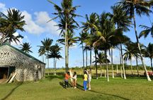 Mauritius Nature Eco-Tour with Ebony Forest Visit