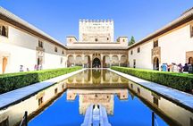 Alhambra 3-hour Guided Tour including Nasrid Palaces