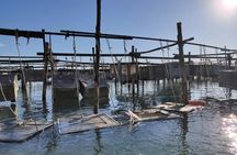 Sustainable Aquaculture Boat Tour in Chioggia's Lagoon