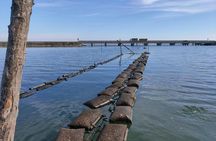Sustainable Aquaculture Boat Tour in Chioggia's Lagoon