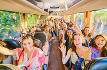 San Gimignano half-day tour with picnic in the Tuscan hills