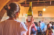 San Gimignano half-day tour with picnic in the Tuscan hills