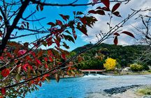 Private Day Trip in Kyoto and Uji