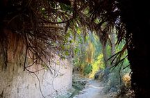 Tiout Taroudant full-day tour