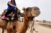 Sunset Camel Ride in Agadir With Transport, Tea, and Local Cakes