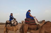 Sunset Camel Ride in Agadir With Transport, Tea, and Local Cakes